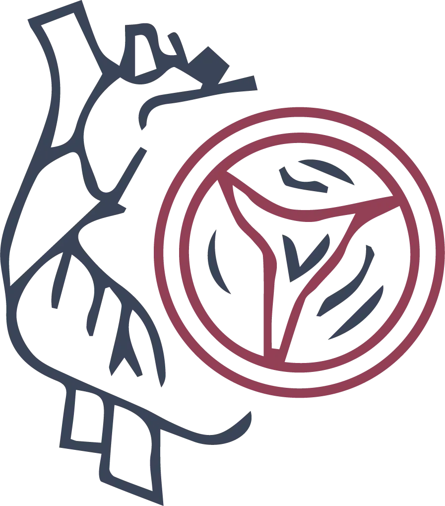 Valvular Heart Disease Icon