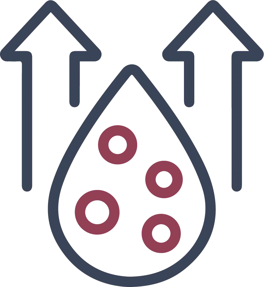 High Cholesterol Icon