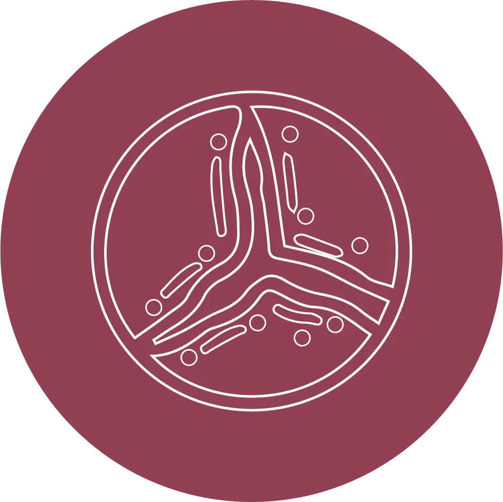 Image of Valvular heart disease 