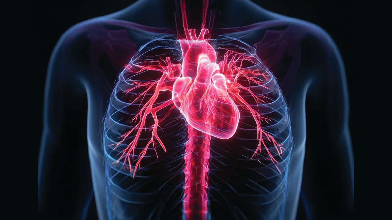 Heart Murmur